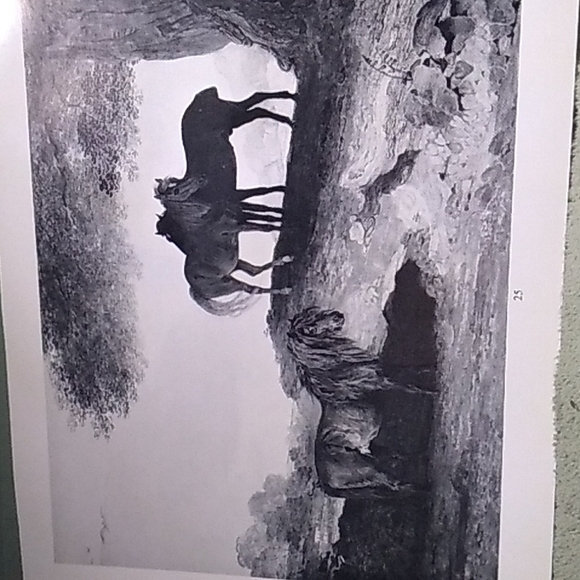 Sotheby book art #25 a shetland pony - Picture 2 of 3